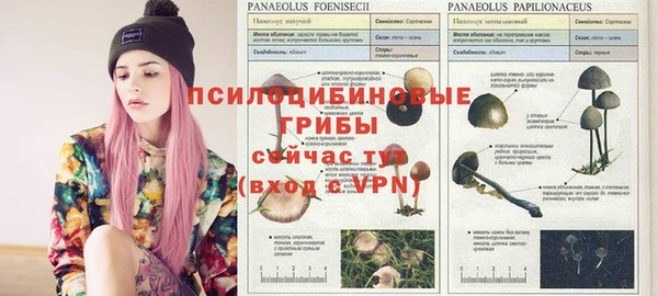 прущие крисы Беломорск