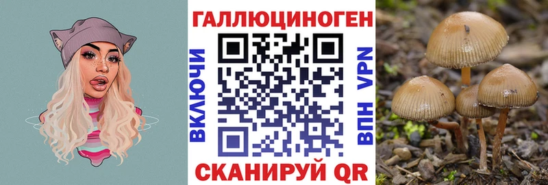 где можно купить наркотик  Рыбинск  гидра ссылка  Псилоцибиновые грибы Magic Shrooms 